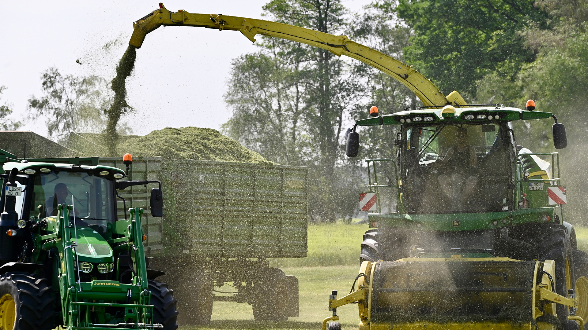 Header-ueber-uns.jpg