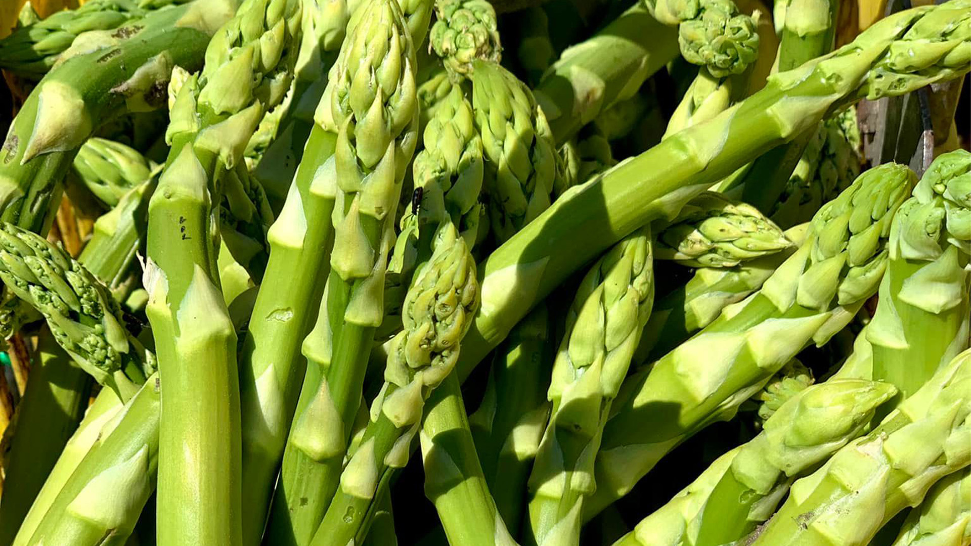 Agrarhandel_Dürrenhofe_Hofladen_Spagel_Header